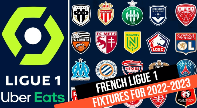 Ligue 1 league.png